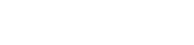Professional Martial Arts Alliance